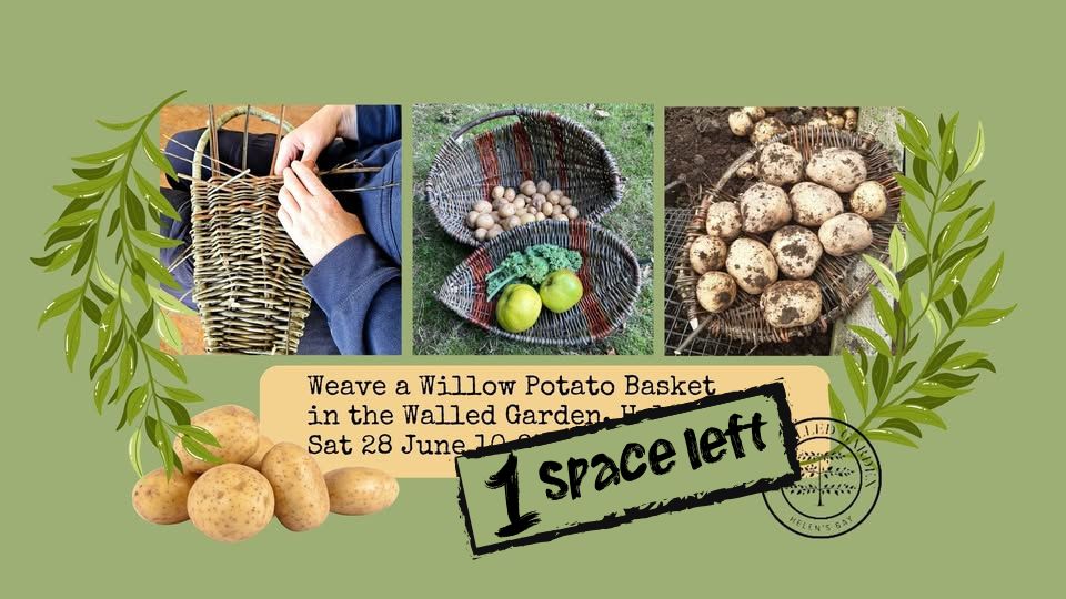 Weave a Willow Potato Basket Workshop in the Walled Garden
