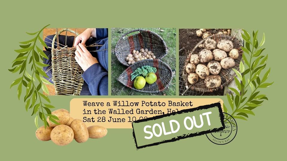 Weave a Willow Potato Basket Workshop in the Walled Garden