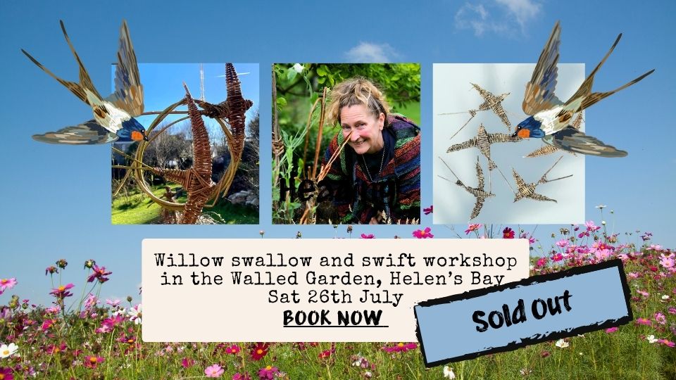 Weave Willow Swallows and Swifts Workshop                                                                  in the Walled Garden