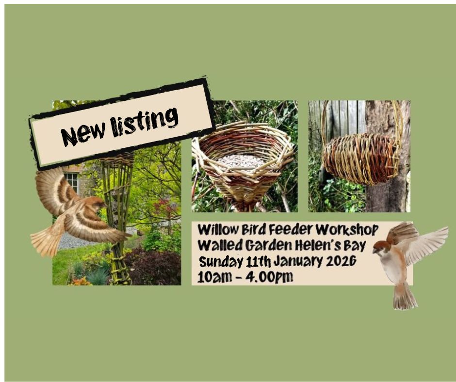 Weave Sustainable Willow Bird Feeders -Sunday, 11th, January 2026