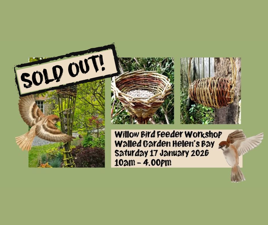 Weave Willow Birdfeeders in the Walled Garden Saturday 17 January 2026