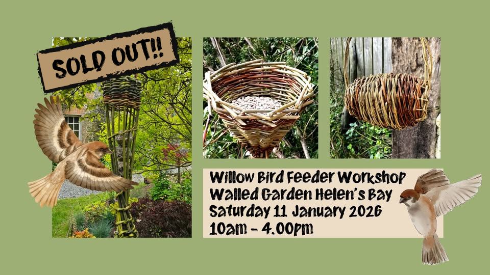 Weave Sustainable Willow Bird Feeders -Sunday, 11th, January 2026