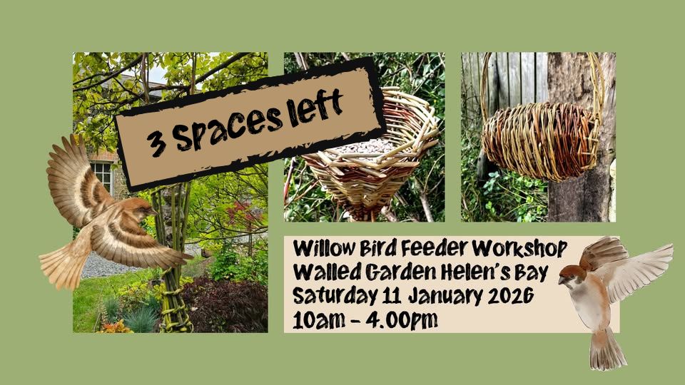 Weave Sustainable Willow Bird Feeders -Sunday, 11th, January 2026