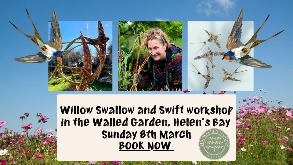 Willow Swallows and Swifts Workshop in the Walled Garden