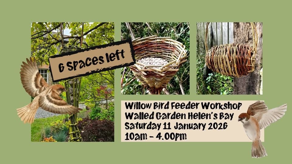 Weave Sustainable Willow Bird Feeders -Sunday, 11th, January 2026