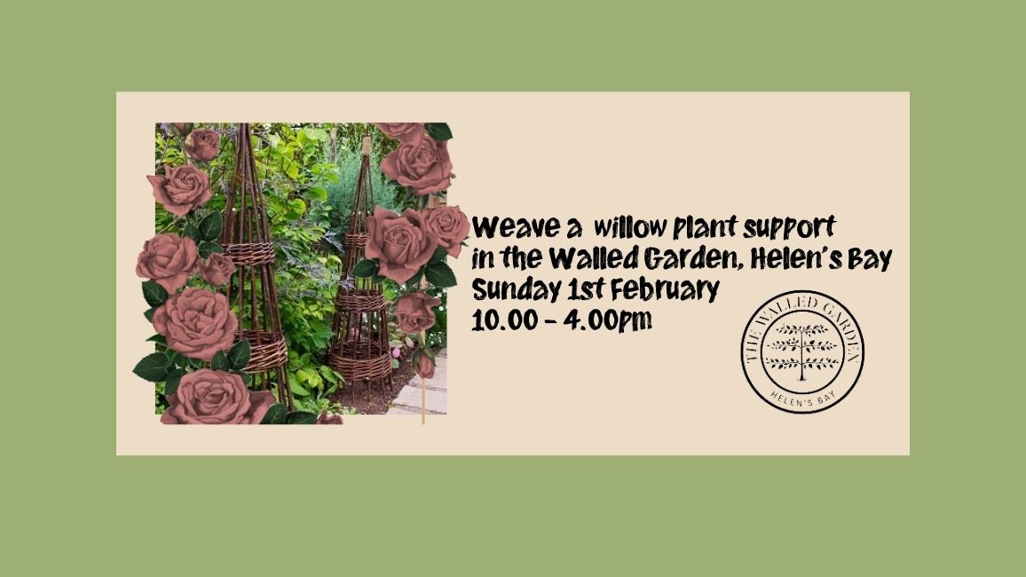 Weave a Willow Plant Support, in the Walled Garden