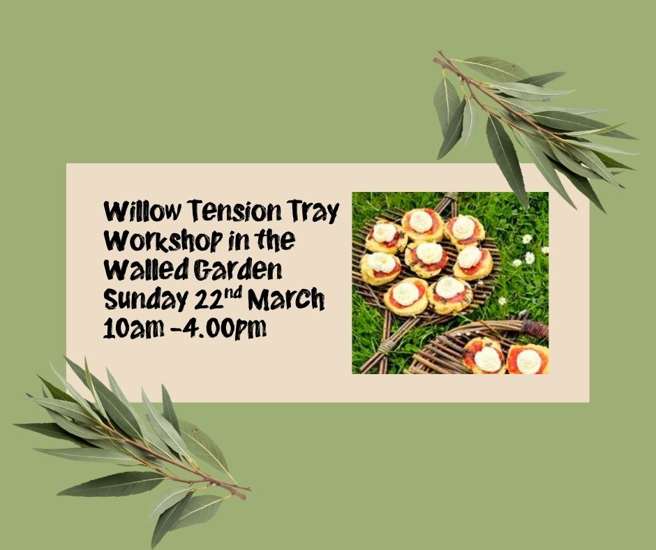 Weave a Willow Tension Tray Workshop in the Walled Garden