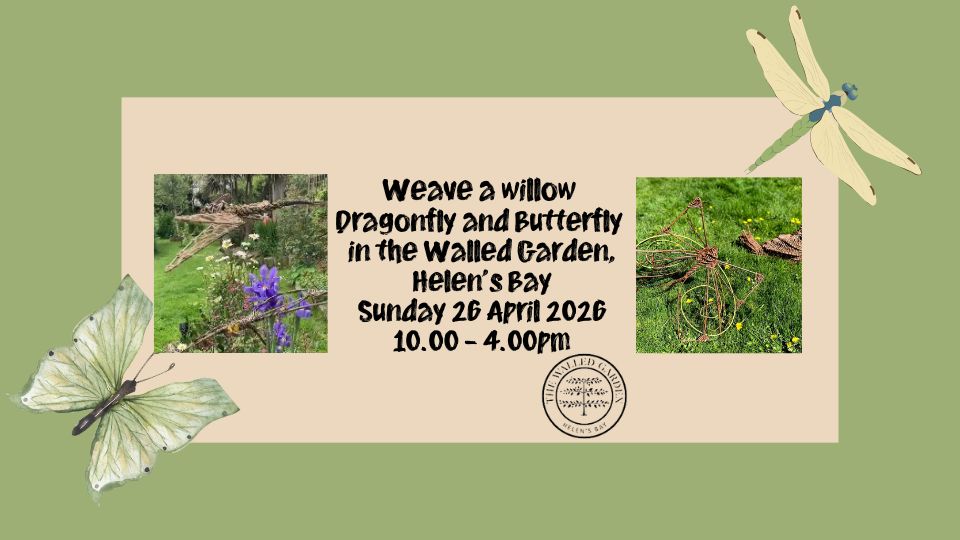 Weave a Dragonfly and Butterfly Workshop in the Walled Garden