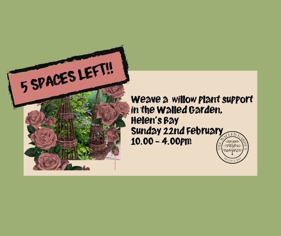 Weave a Willow Plant Support, in the Walled Garden