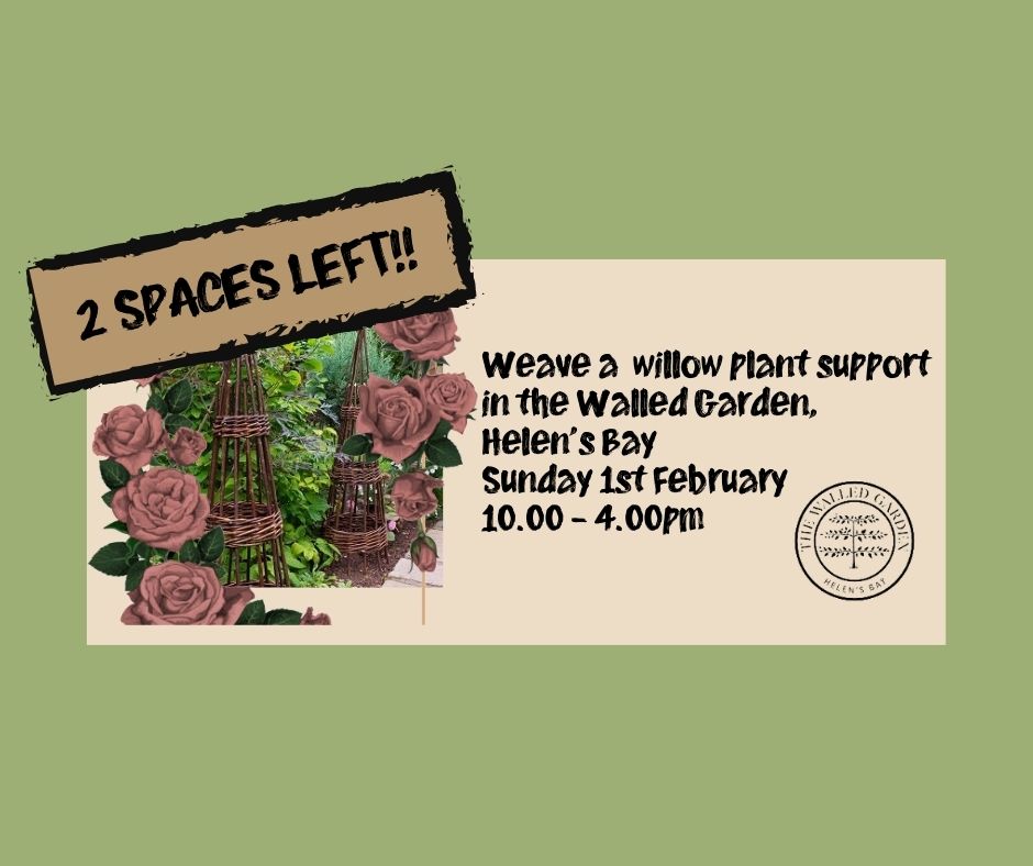 Weave a Willow Plant Support, in the Walled Garden