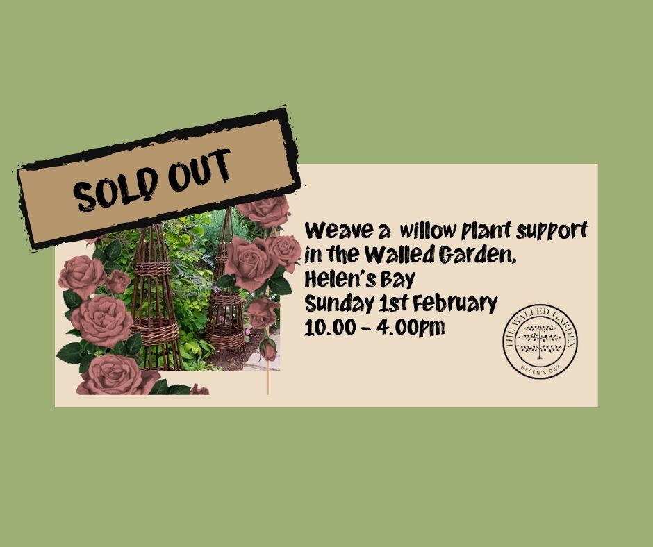 Weave a Willow Plant Support, in the Walled Garden