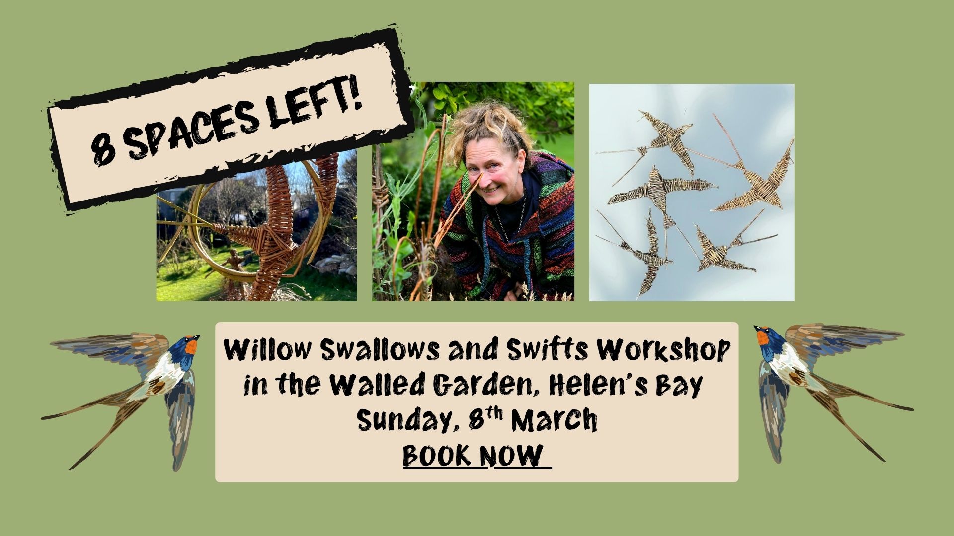 Willow Swallows and Swifts Workshop in the Walled Garden