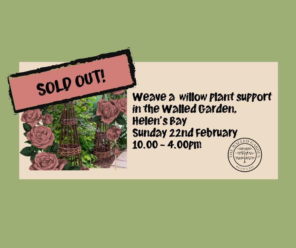 Weave a Willow Plant Support, in the Walled Garden