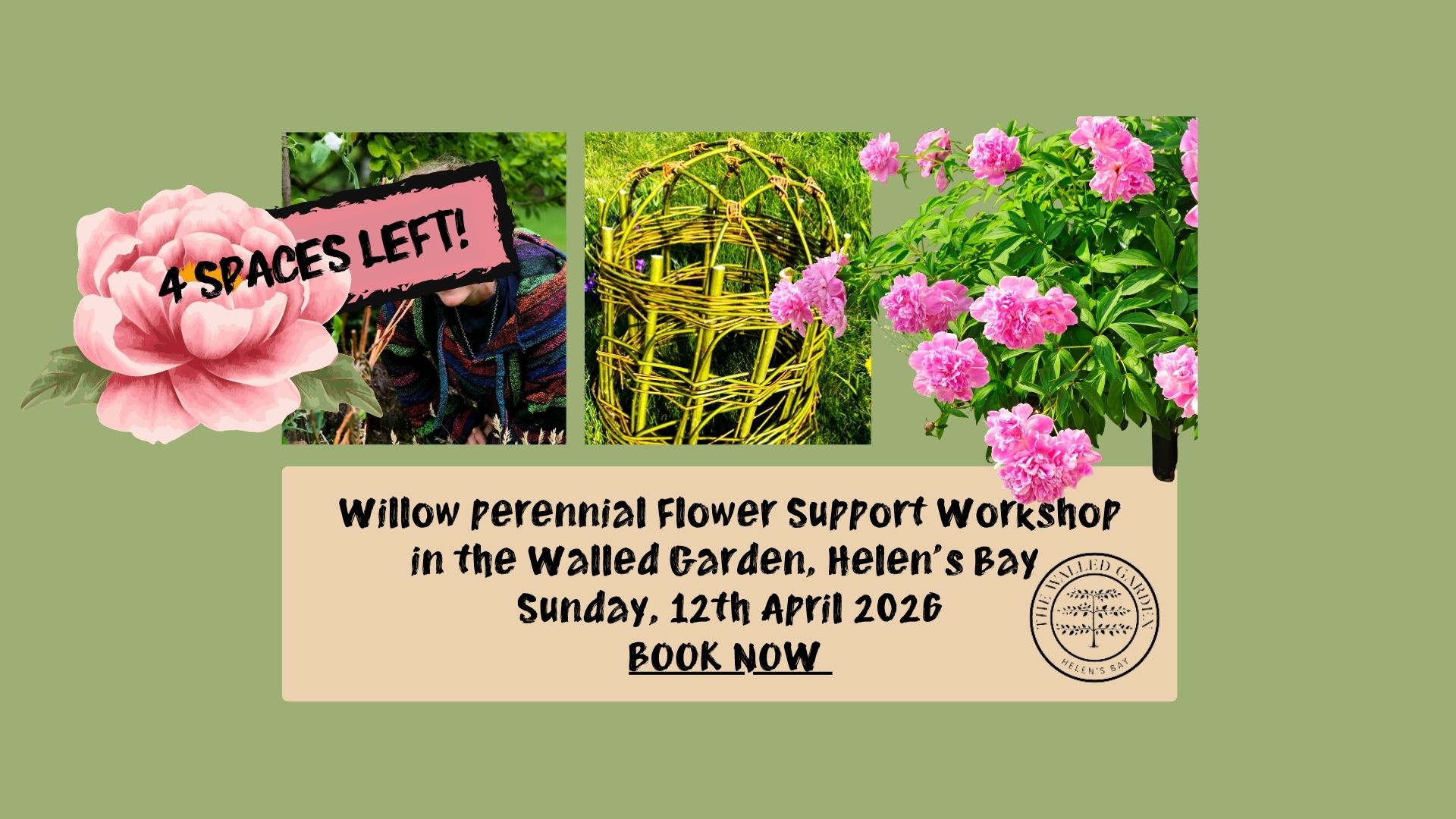 Weave a Willow Perennial Flower Support in the Walled Garden