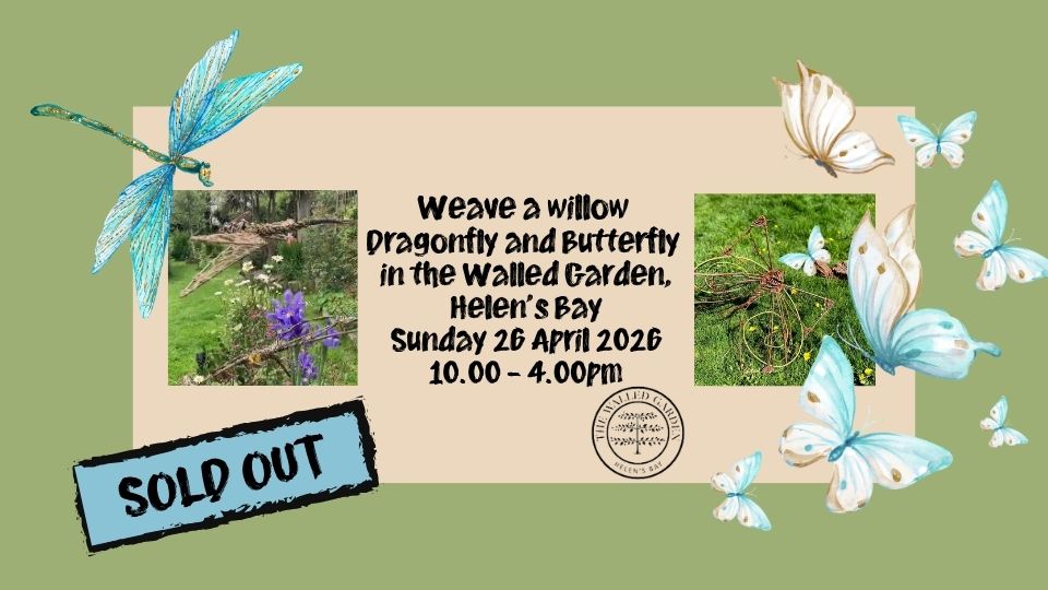 Weave a Dragonfly and Butterfly Workshop in the Walled Garden