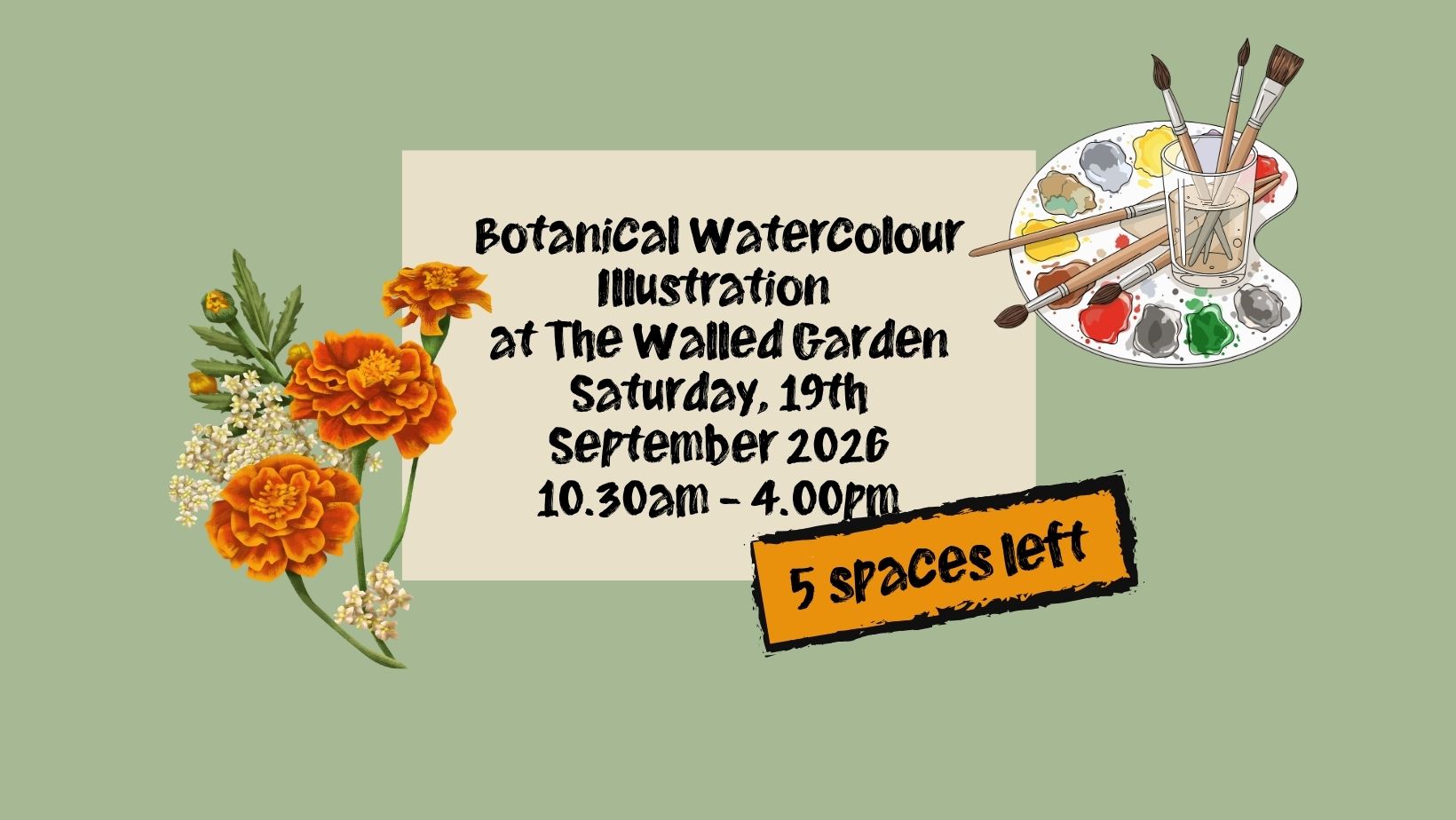 Botanical Watercolour Illustration at the Walled Garden