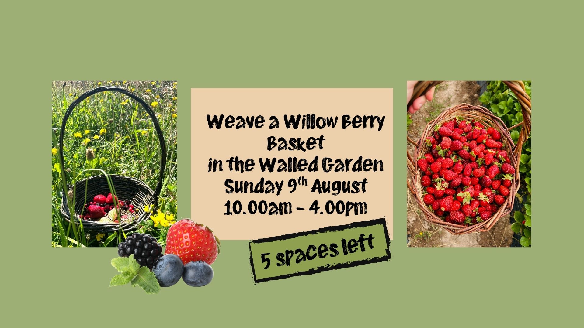 Weave a Willow Berry Basket in the Walled Garden