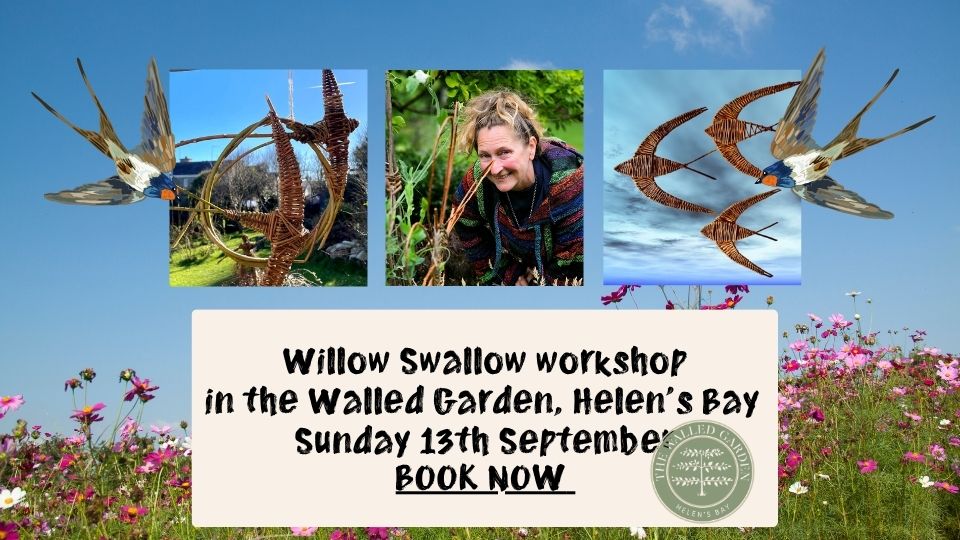 Weave Willow Swallows in the Walled Garden