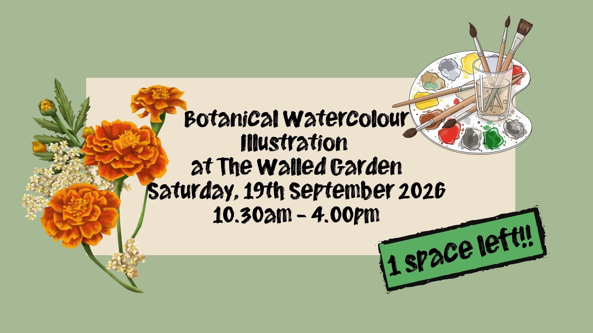 Botanical Watercolour Illustration at the Walled Garden