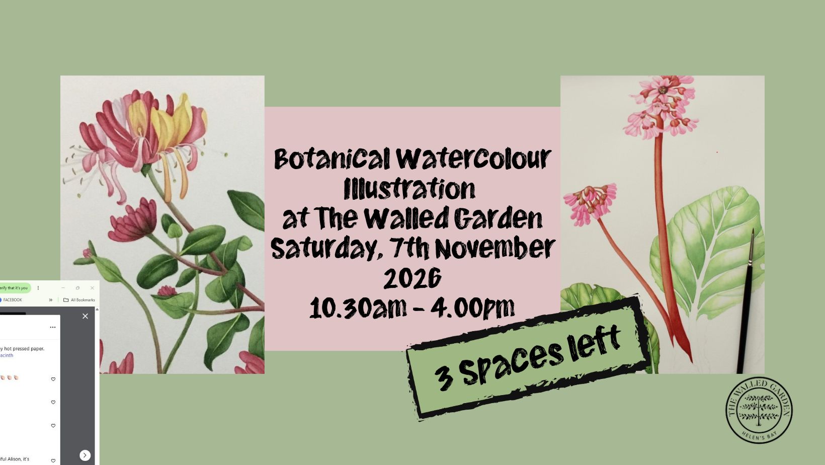 Botanical Watercolour Illustration at The Walled Garden