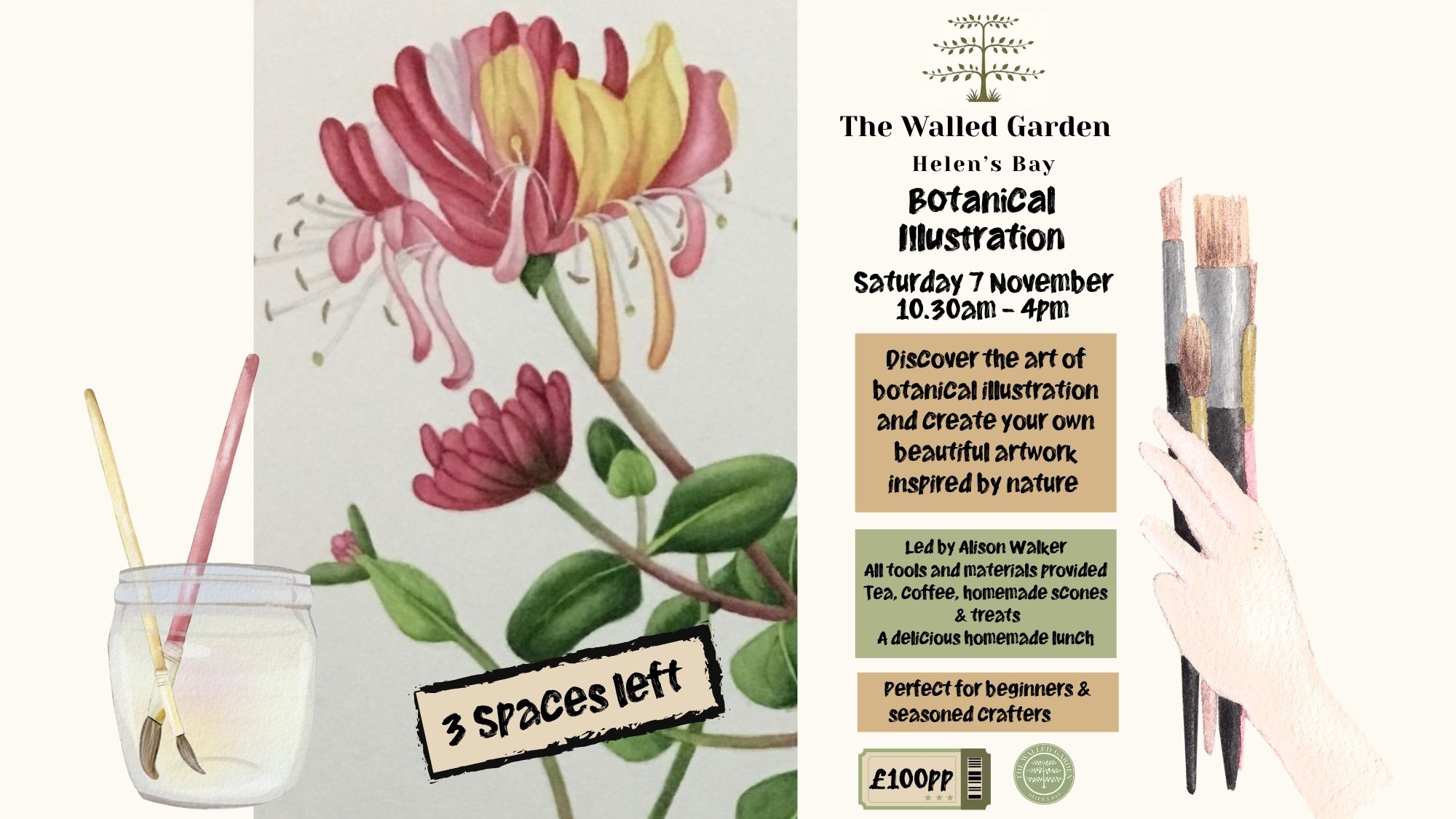 Botanical Watercolour Illustration at The Walled Garden